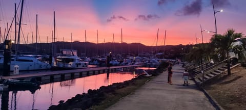 Bateau d'hôtes avec espace privatif à quai Hotel Insolite le Marin Martinique en Demi pension 3 Cabines & 2 Salles de bains 8 pers max animaux vivant à bord 2 chats et une chienne et proprio Docked boat in Sainte-Anne