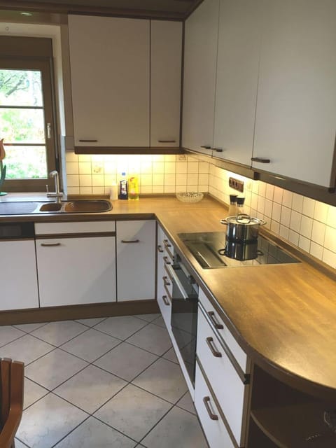 Kitchen or kitchenette, dishwasher, stove