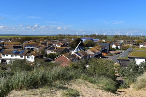 Neighbourhood, Natural landscape, Bird's eye view