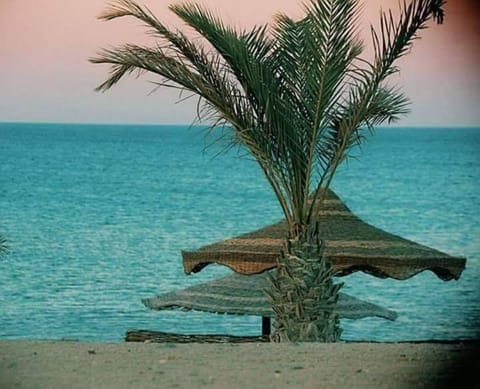 Moon Beach Resort Hotel in South Sinai Governorate