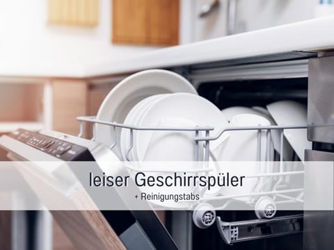 Kitchen or kitchenette, dishwasher