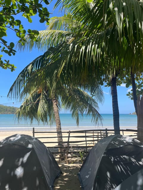 View (from property/room), Beach