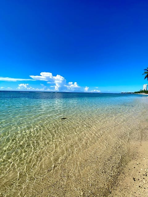 Day, Natural landscape, Beach, Sea view