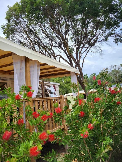 Patio, View (from property/room), Balcony/Terrace, Garden view, Seasons