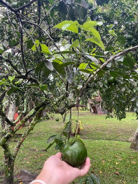 Sítio Exclusivo em Meio a Natureza Deslumbrante Landhaus in Cachoeiras de Macacu