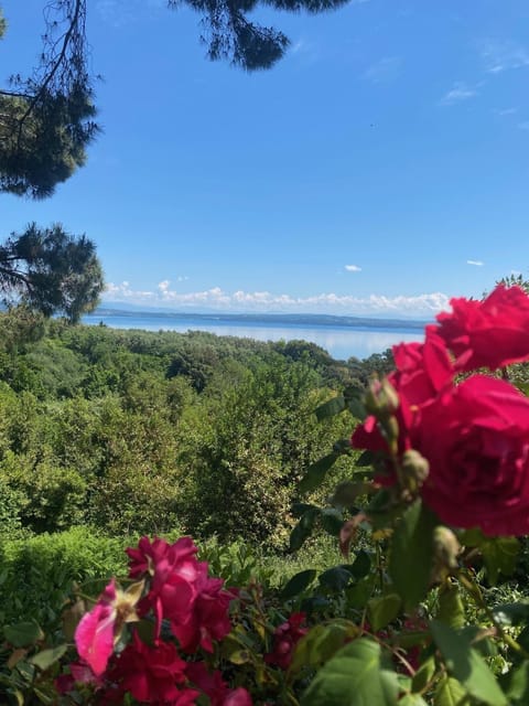 Casa la Rosa House in Bracciano