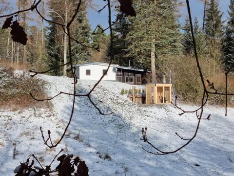 Natural landscape, Winter, Sauna