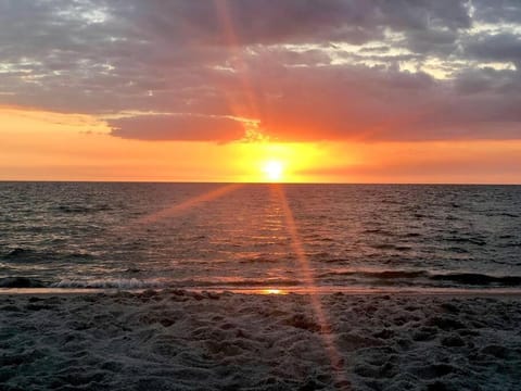 Recently renovated Beach House with fenced in yard House in Naples Park