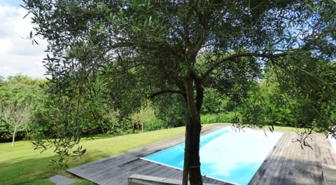 Garden, Garden view, Swimming pool