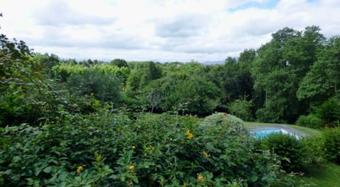 Natural landscape, Garden, Garden view, Mountain view