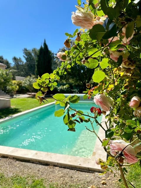 Spring, Day, Garden, Garden view, Pool view, Swimming pool