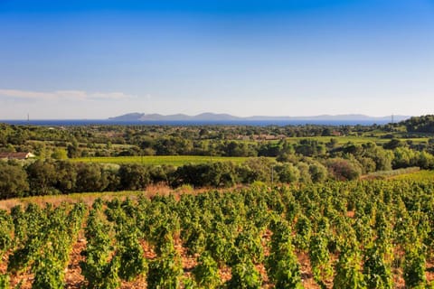 La Mandragora, belle Villa pour 6 personnes avec piscine à débordement et vue mer à La Londe-les-Maures Villa in La Londe-les-Maures