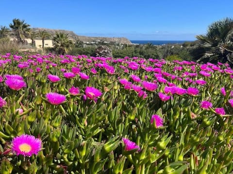 Natural landscape, Garden, Garden view, Mountain view, Sea view