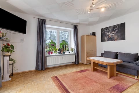 Ferienwohnung Am Brunnen Apartment in Offenburg