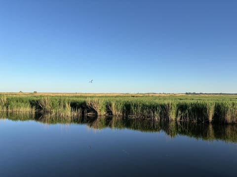 Natural landscape, River view