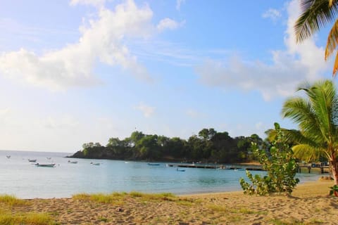 Parlatuvier Blue Villa Villa in Trinidad and Tobago