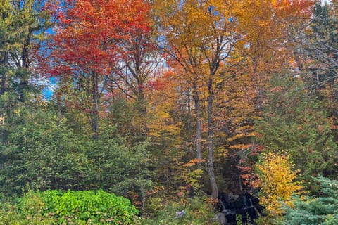 StonyBrook Falls Maison in Danville