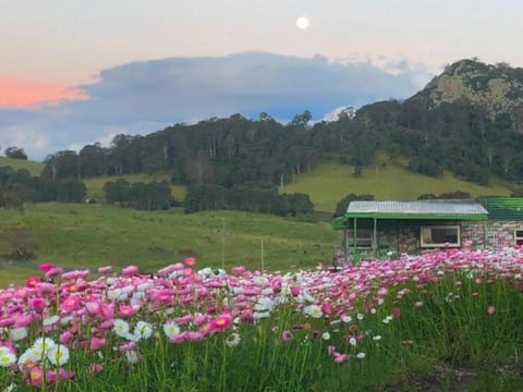 Mountain View Tilba Tilba - Glamping Campground/ 
RV Resort in Central Tilba