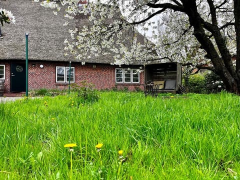 Property building, Garden, Garden view