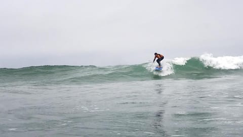 Natural landscape, Activities, Beach