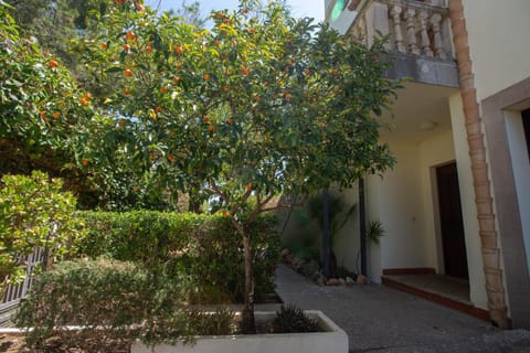 Garden, Garden, Garden view