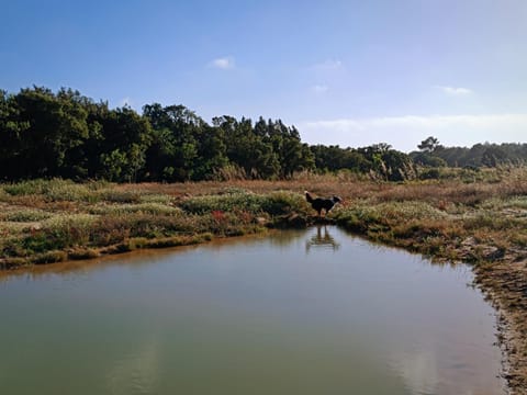 Natural landscape, Lake view