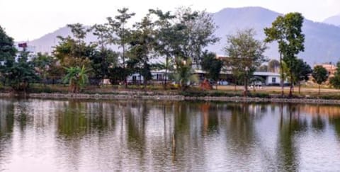 Natural landscape, Lake view