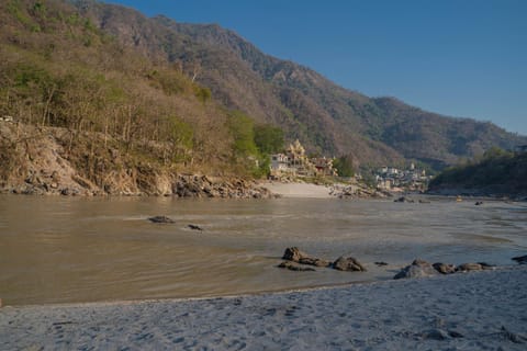 Natural landscape, River view