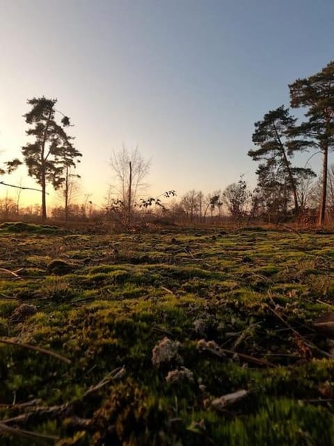 Belle Gite - rust en natuur House in Mol