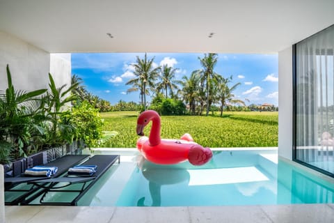 Garden, Garden view, Swimming pool, sunbed