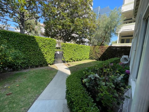 Property building, Garden, Garden view