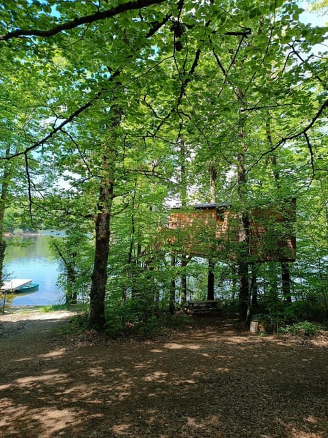 Natural landscape