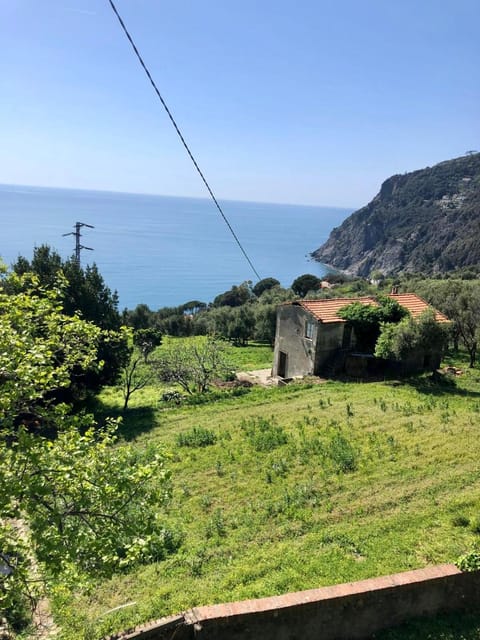 Garden, Sea view