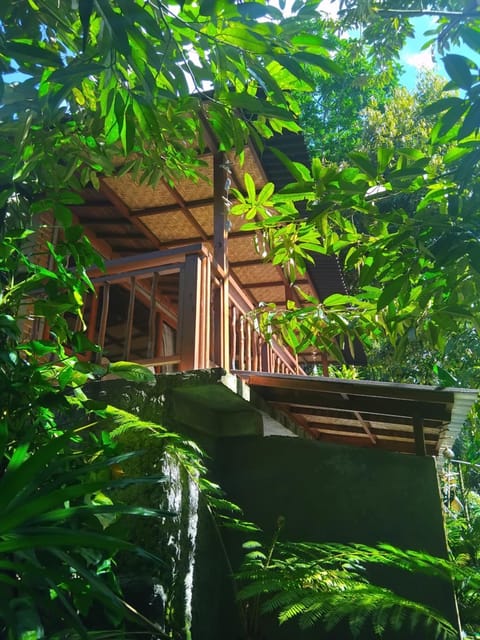 Umah mimpi Bed and Breakfast in Tampaksiring