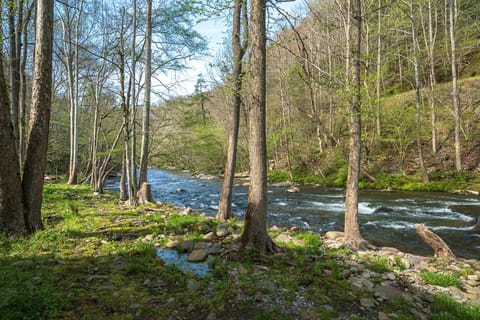 River Lodge By Stony Brook Cabins House in Pittman Center