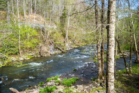 River Lodge By Stony Brook Cabins House in Pittman Center