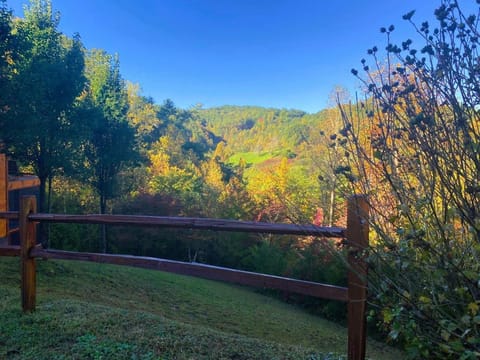 Tennessee Tranquility by Stony Brook Cabins House in Pittman Center