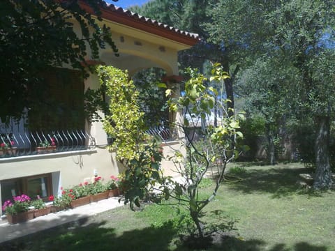Zenour Maison in Cala Liberotto