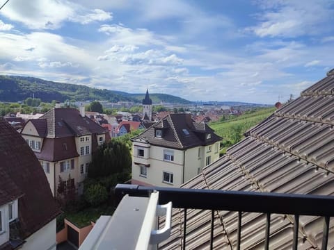 Weinberge - Fernblick - Stuttgart Apartment in Esslingen