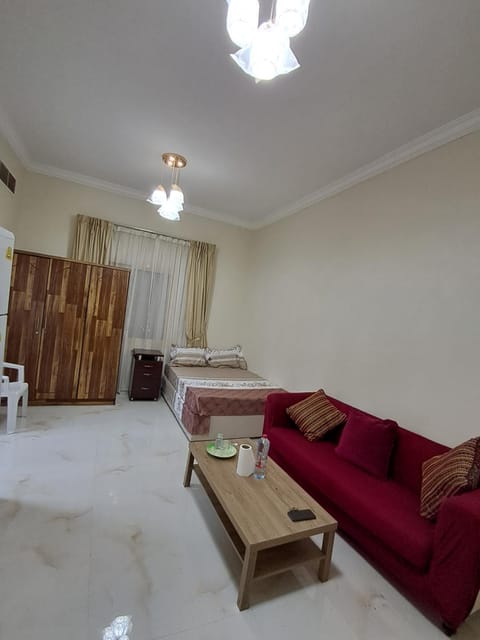 Aalia building studio furnished flat Apartment in Ajman