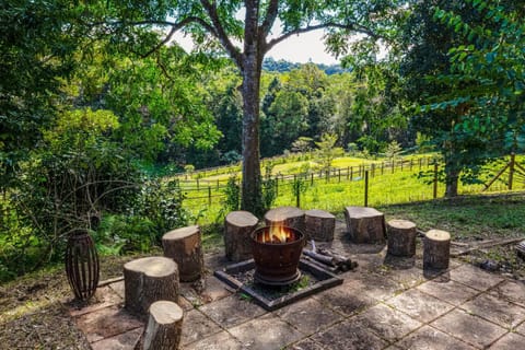 Natural landscape, Garden, fireplace