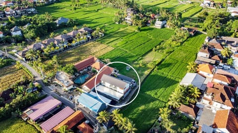 Property building, Day, Neighbourhood, Natural landscape, Bird's eye view