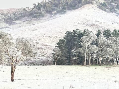 The Lakehaus at Lyell Maison in Hartley