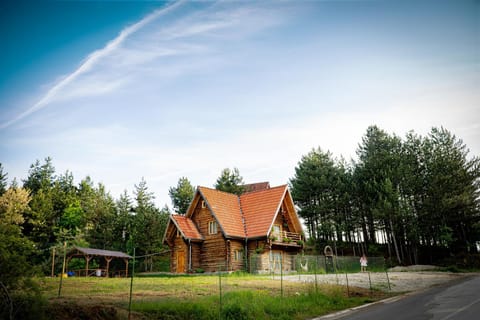 Property building, Spring, Day, Natural landscape, Garden, Garden view