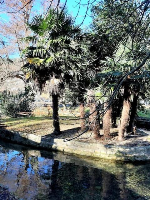 Garden, River view