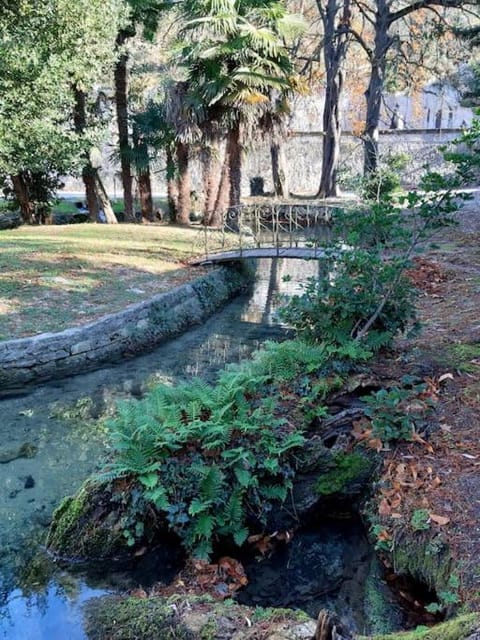 Garden, River view