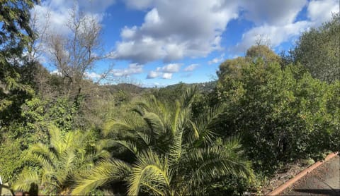 serene Mountainside Suite, Private entrance and bathroom Bed and Breakfast in San Anselmo