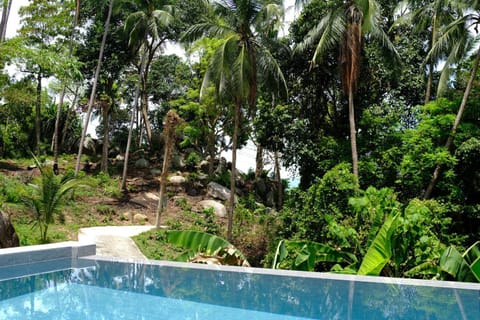 Natural landscape, Garden view, Swimming pool