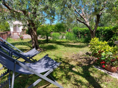 Natural landscape, Garden, Garden view, sunbed