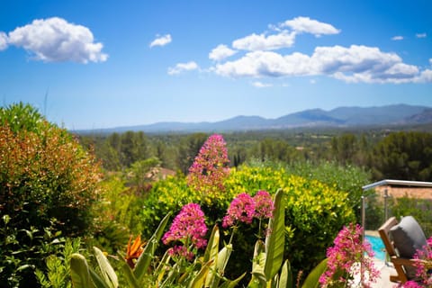 Villa 10 people with private pool near Saint-Tropez Villa in Roquebrune-sur-Argens